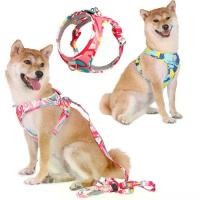 ราคา 【เก็บเงินปลายทาง】 BORORO สายจูงสัตว์เลี้ยง สายจูงสุนัข แมว สายจูงแมว สายจูง เชือกจูงแมว สายจุงแมว สายจูงแมวรัดอก สายจูงหมา สายรัดอกสุนัข สายจูงกระต่าย (1732301951193613537)