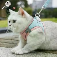 ราคา เชือกลาก สายจูงแมวน่ารัก สายรัดอกสุนัข Colorful Reflective สายจูงแมว สายจูงหมา ปลอกคอแมว สายจูง (1732185027125742429)