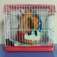ราคา [จัดส่งทันที] กรงขนาดเล็กพร้อม ผ้าปู บ้านชูก้า กว้าง5.5 ยาว8 สูง 7 นิ้ว เลี้ยงชูก้าไรเดอร์ กระรอก (1731318349617595413)