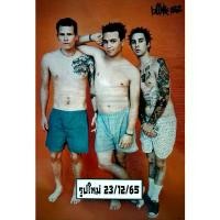ราคา โปสเตอร์ วง Blink-182 บลิงก์-182 ภาพ วงดนตรี Blink 182 โปสเตอร์ ติดผนัง สวยๆ poster (1729577454847429274)