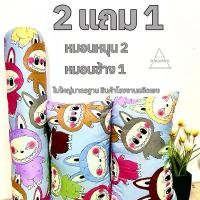 ราคา หมอนหนุน2ใบ แถมฟรีหมอนข้าง 1ใบ สินค้าผลิตจากโรงงาน ใบใหญ่มาตรฐาน topper mattress (1730787051389750073)