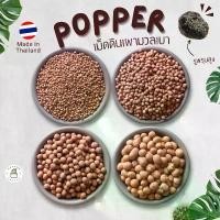 ราคา Popper ป๊อบเปอร์ เม็ดดินเผามวลเบา ป๊อปเปอร์ ปอปเปอ Poper สีน้ำตาล โรยหน้ากระถาง ผสมดินปลูก บรรจุ 1ลิตร 4ลิตร 14ลิตร(กระสอบ) ดินปลูก Potting soil (1731216911738373578)