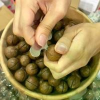 ราคา ยกลัง 5 กิโล แมคคาดีเมีย อบเนย ถั่วแมคคาดีเมีย macadamia nuts butter roasted แมคคาเดเมีย 5 กิโลกรัม (1730197798791908196)