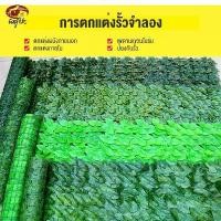 ราคา Gardening tools รั้วประดิษฐ์ใบพืชสีเขียวตาข่ายรั้วประดิษฐ์บรั้วระเบียง, รั้วพืชเทียมรั้ว (1731495515594852949)
