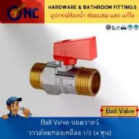 ราคา NC Hardware Ball Valve Brass บอลวาวล์ปรับลม บอลวาวล์ลม ทองเหลือง วาวล์ปั๊มลม วาวล์ลมทองเหลือง 1/2 (4 หุน) เกลียวนอก (1729898476940266388)