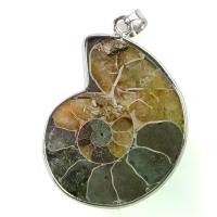 ราคา จี้หอยสังข์, ฟอสซิล, หอยสังข์จุด, สีสันสดใส, เหมาะสำหรับเครื่องประดับจี้, สำหรับลูกสาว, แม่, และเพื่อน (1731390921733081898)