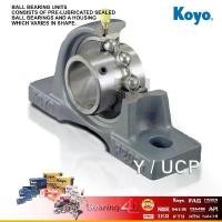 ราคา KOYO UCP205-J ตลับลูกปืนตุ๊กตา Japan Brand เพลามิล ตลับลูกปืนชุด เสื้อตุ๊กตาพลัมเม่อบล็อ รูเพลามิล คําแนะนําการขายที่ร้อนแรงในเดือนนี้ (1732268713913845136)