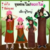 ราคา ส่งไว จาก กทมชุดต้นไม้ ดอกไม้ (มีทั้งเด็กและผู้ใหญ่) ชุดดอกไม้ ชุดแฟนซีต้นไม้ ชุดการแสดง ต้นไม้ผู้ใหญ่ tree costume ขายร้อน (1731404049490282484)
