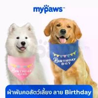 ราคา My Paws ผ้าพันคอหมา ผ้าพันคอแมว ไซส์ใหญ่ ลาย Birthday (1729598861445401167)