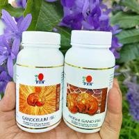 ราคา เห็ดหลินจือแดงสกัดเย็น100% DXN Thailand 90 แคปซูล (1730310494021651327)