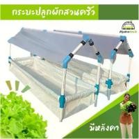 ราคา Certified products[ใหม่ล่าสุด]กระบะปลูกผักสวนครัวสีขาวรุ่นหลังคา ขนาด40×140×20cm (1731631799798170864)