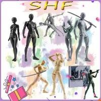 ราคา Certified productsจัดส่งทันที SHF Human Mannequin ฟิกเกอร์ หุ่นโมเดล ชาย หญิง หุ่นฟิกเกอร์มนุษย์ ขยับได้ สําหรับศิลปิน (1731835826093720590)