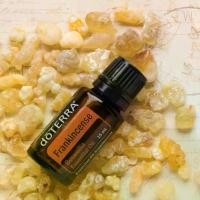ราคา Frankincense Essential Oil (1729427625018886950)