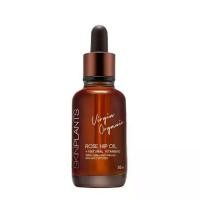 ราคา SKINPLANTS ออยล์ Rose Hip Oil Rosehip 30 ML. (1731358355519341927)