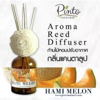 ราคา PINTONATURAL ก้านไม้หอมปรับอากาศ กลิ่นเมล่อน Aroma Reed Diffuser Hami Melon (1732135671599565113)
