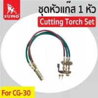 ราคา ชุดหัวตัดแก๊ส CG-30 1หัว / Cutting Torch Set CG-30 1 Torch (1731024502226652064)