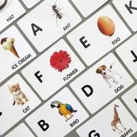 ราคา แฟลชการ์ด A-Z ภาพจริง แผ่นใหญ่ Flash card KP010 Vanda learning ขาย (1732185359760590281)
