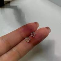 ราคา annita.silver - crystal circlel earring / silver925 ต่างหูเงินแท้925 ต่างหูฝังหนามเตย เหมาะก (1732462664209892656)