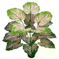 ราคา จำลองพืชสีเขียว, ปาร์ตี้ในฝัน, ตกแต่งพืชสีเขียวปลอม, กล้วยนักท่องเที่ยว, ไม่รวมกระถาง birth flower กุหลาบ redbacara มะขามบอนไซ pnw กุหลาบ เดซี่ แฮปปี ต้น กวนอิม ช่อ ดอกไม้ (1731481839803533669)