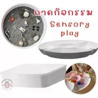 ราคา ถาดกิจกรรมสีเทา Sensory play ถาดหลุม กล่องเก็บของ ขายดี (1732050420143982196)