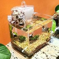 ราคา [พร้อมส่ง] ตู้ปลา โหลปลากัด ตู้ปลากัด ปลาสวยงามถูกๆ ตู้ปลาเล็ก fish tank (1732145646587053325)
