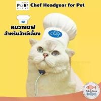 ราคา [Fish & Bone] Purlab เชฟ หมวกแมว หมวกหมา (1732334899523454566)