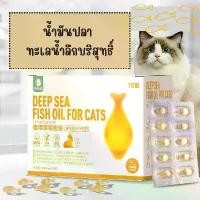 ราคา Nervous Cat Fish oil น้ำมันปลาทูน่าทะเลน้ำลึก 1 กล่อง 50 แคปซูล (1729990975332321837)