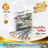 ราคา ปลาหลังเขียวใหญ่ (ตากแห้ง) 1 kg. ถอดเกล็ด ปลาสองแดด ไร้เกล็ด ขนาดใหญ่ (ปลาหลังเขียวเค็ม ปลาเค็มไม่มีเกร็ด ปลากุแลตากแห้ง ปลาหลังเขียวแดดเดียว ปลาทะเลตากแห้ง ปลาหลังเขียว ปลากุแล (1730522405101734162)
