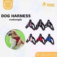 ราคา COD Doge&Orange พร้อมส่ง สายจูงสุนัข พันธุ์กลาง-ใหญ่ สายจูงหมา สายรัดอก จูงสัตว์เลี้ยง หลายสี หลายขนาด (สายจูงแยกขาย) COD ST064 (1732391217704437155)