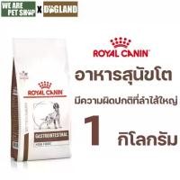ราคา Royal Canin Vet Dog 1 kg Gastro High Fibre อาหารเม็ดหมาท้องผูก (1732479212240602409)