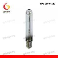 ราคา GATA หลอดไฟโซเดียมความดันสูง ทรงกระบอก 250W ขั้ว E40 / หลอดไฟโซเดียม High Pressure Sodium จัดส่งที่รวดเร็ว (1732436478483728323)