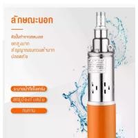 ราคา ปั๊มแช่ 1 นิ้วปั๊มจุ่ม ไดโว่ ปั๊มน้ำ ปั้มแช่ดูดโคลนDC Submersible Screw pump (1732282369376683639)