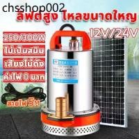 ราคา ฮิตที่สุด สแตนเลส ปั๊มจุ่ม 1 นิ้ว 12/24V 300W ไดโว่ มอเตอร์ทองแดงแท้ 100% ไดร์โว่ดูดน้ำ ปั๊มน้ำ ปั้มน้ำโซลาเซล ไดโว่ดูดน้ำ DC PUMP (1732129429481097150)