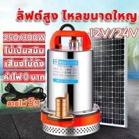 ราคา สินค้าแนะนำ สแตนเลส ปั๊มจุ่ม 1 นิ้ว 12/24V 300W ไดโว่ มอเตอร์ทองแดงแท้ 100% ไดร์โว่ดูดน้ำ ปั๊มน้ำ ปั้มน้ำโซลาเซล ไดโว่ดูดน้ำ DC PUMP (1731816156927592193)