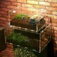 ราคา Acrylic Box กรงอะคริลิกเลี้ยงสัตว์ กล่องเลี้ยงสัตว์เลื้อยคลาน มีแบบสูง แบบเตี้ย เครื่องวัดอุณหภูมิความชื้น กบ งู (1732210615336010771)