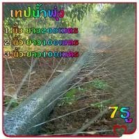 ราคา [พร้อมส่ง] t-Trading-เทปน้ำพุ่ง สายส่ง การพุ่งกระจายน้ำสม่ำเสมอ 7รู 1นิ้ว 2นิ้ว 3นิ้ว น้ำพุ่ง สายส่ง สายน้ำพุ่ง สายยาง สายยางรดน้ำ (1732260328008813236)