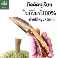 ราคา มีดตัดทุเรียนด้ามไม้พยูง ไม้ขี้เหล็กแท้ ด้ามอะครีลิค ใบกีวี่ แบบพับได้ มีlock back ป้องกัน (1732081689647024071)