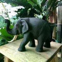ราคา จัดส่งในกรุงเทพฯ ไม้สักแกะสลักช้างชูงวงสีดำ Carved wood สูง 6" ไม้แกะสลักรูปช้างทำผิวเสมือนจริง ช้างแกะสลักแก้บน แกะสลักด้วยมือ เสริม ฮวงจุ้ย (1731841789864414102)