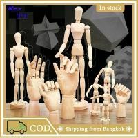 ราคา Certified productswood man wood hand หุ่นไม้จำลอง หุ่นคน หุ่นคนจำลอง หุ่นไม้ โมเดลคน โมเดลคนจำลอง MANIKIN โมเดลหุ่นไม้ หุ่นไม้สำหรับวาดรูป (1732090746655311258)
