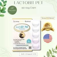 ราคา [พร้อมจัดส่ง] Lactobif pet โพรไบโอติค Probiotics เหมาะกับสัตว์เลี้ยงที่มีพฤติกรรมเลียตัวบ่อยหรือมีปัญหาเรื่องระบบขับถ่าย จัดส่งที่รวดเร็ว (1732479912035255873)