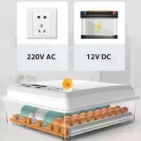 ราคา ตู้ฟักไข่ รุ่นอัปเกรด ตู้ฟักไข่ 24 ฟอง ตู้ฝักไข่ไก่ ตู้ฟักไข่ ตู้ฟักไข่ไก่ เครื่องฟักไข่ไก่ นก เป็ด ฟองระบบอัตโนมัติแถมไฟ LED ทำให้ไข่งอกใช้งานง่ายสุด ๆ ตู้ฝักไข่ไก่ เครื่องฟักไข (1732409146800178465)