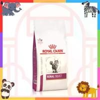 ราคา บล็อกบัสเตอร์ ของแท้ ไอโฟน14สีฟ้า ขวดโค้ก5ลิตร ที่ขายดี ที่สุดในสัปดาห์นี้ ที่นิยมมากที่สุด Royal Canin Renal Select cat 2 kg. อาหารสำหรับแมวโรคไต สูตรเหมาะสำหรับแมวโรคไต เม็ดสอด (1731027703168862907)