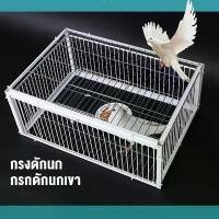 ราคา กรงดักนก capture bird cage กรงกับดักนกพิราบ กรกดักนกเขา กรงนกพิราบ ที่ดักนก กรงนกทางเดียว กรงต่อนก (1731972353536591436)