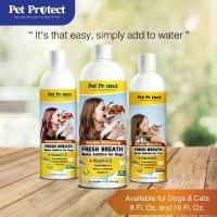 ราคา Pet Protect น้ำยาบ้วนปากแมว น้ำยาบ้วนปากสุนัข ระงับกลิ่นปาก ยับยั้งการเกิดหินปูน สูตรฟันขาว 237 ml/ขวด จัดส่งเฉพาะจุด (1731834380161943438)