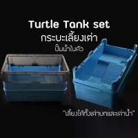 ราคา กระบะเลี้ยงเต่า แทงค์เลี้ยงเต่า Turtle Tank set อ่างเลี้ยงเต่า กระบะเลี้ยงเต่า สำหรับเต่าน้ำ เต่าญี่ปุ่น เต่าบก Jeneca สินค้าแนะนำ (1731321239217079847)