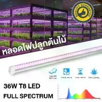 ราคา GrowSmart ชุดหลอดไฟ LED T8 grow light 36W full spectrum 120cm ไฟปลูกต้นไม้ ไฟเพาะต้นอ่อน clone LED light LED Grow Tube (1732287998326637721)