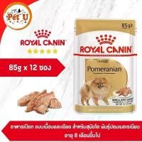 ราคา [ยกกล่อง 12 ซอง] Royal Canin Pomeranian Adult Pouch Loaf อาหารเปียกสุนัขโต พันธุ์ปอมเมอเรเนียน อายุ 8 เดือนขึ้นไป คําแนะนําการขายที่ร้อนแรงในเดือนนี้ (1731955493440882120)