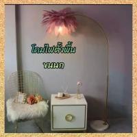 ราคา CT191A151 SOTMIA โคมไฟตั้ั้งพื้นขนนก โคมไฟพร้อมรีโมท Feather Lamp (1729762460226390026)