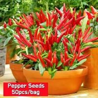 ราคา 50เมล็ด/ซอง High Yield Pepper Plant Seeds High Germination Pepper Seeds Vegetables Seeds for Planting Bonsai Pepper Seeds เมล็ดพันธุ์ พริกจินดาแดง เมล็ดพันธุ์ พริกชี้ฟ้า พริก เมล (1732247053269895234)