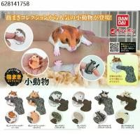 ราคา (ตัวลับพร้อมส่ง) กาชาปองแฮมเตอร์ เม่นแคระ ชูการ์ไกรเดอร์ Gashapon Bandai Ikimono Encyclopedia Hamster Hedgehog Sugar V.2 (1732067983841855147)